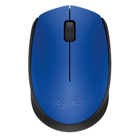 Logitech M171 Wireless Mouse – Blue | Reliable 2.4GHz Wireless Mouse